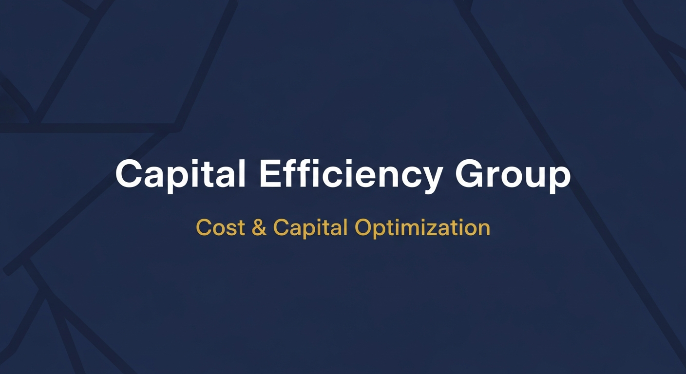 Capital Efficiency Group | Cost & Capital Optimization